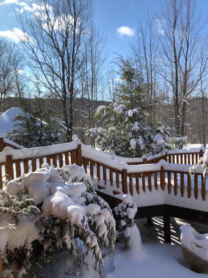 Black River Crossing Bed & Breakfast Bessemer Esterno foto