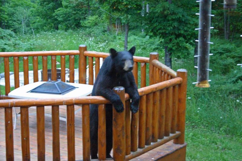 Black River Crossing Bed & Breakfast Bessemer Esterno foto