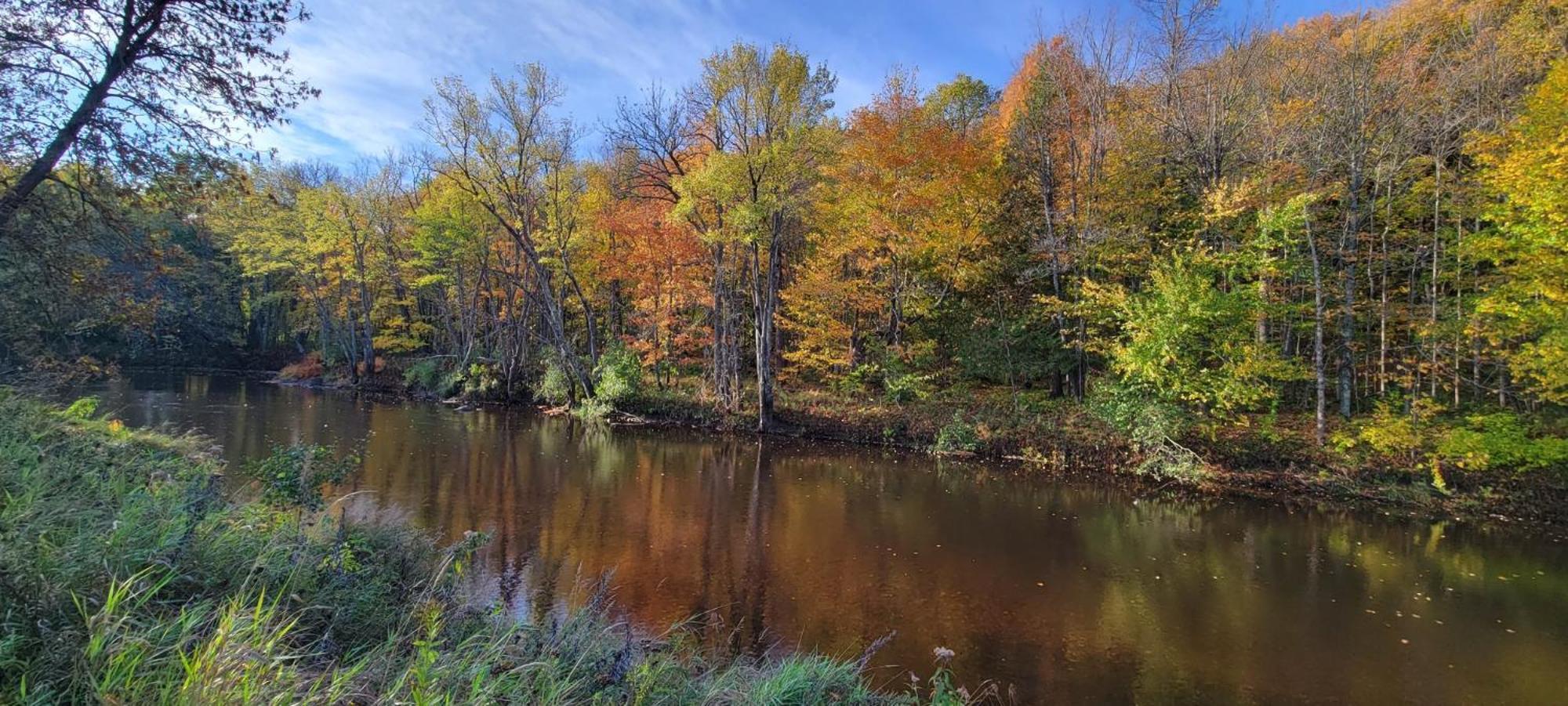 Black River Crossing Bed & Breakfast Bessemer Esterno foto
